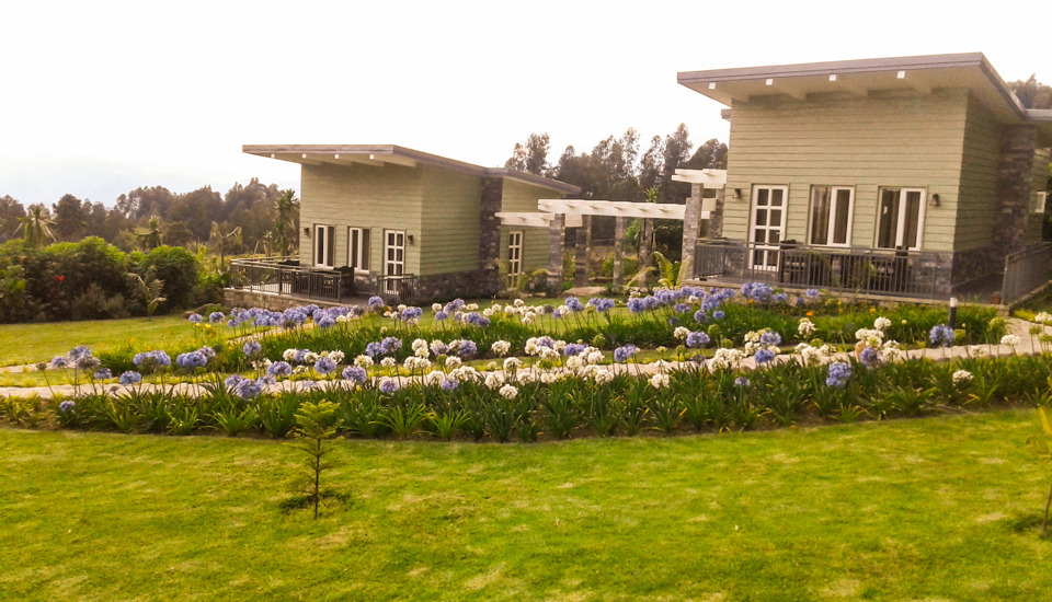 20170327 162219 edited