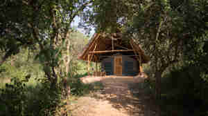08. MRL thatched safari tent