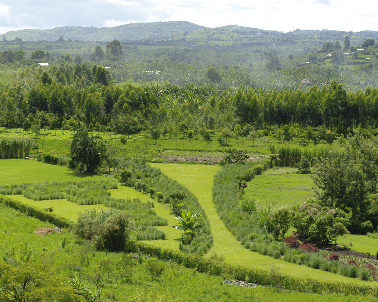 view of kibale national park, uganda safari holidays