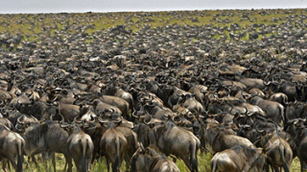 11349868783 fe7d7c46f3 n