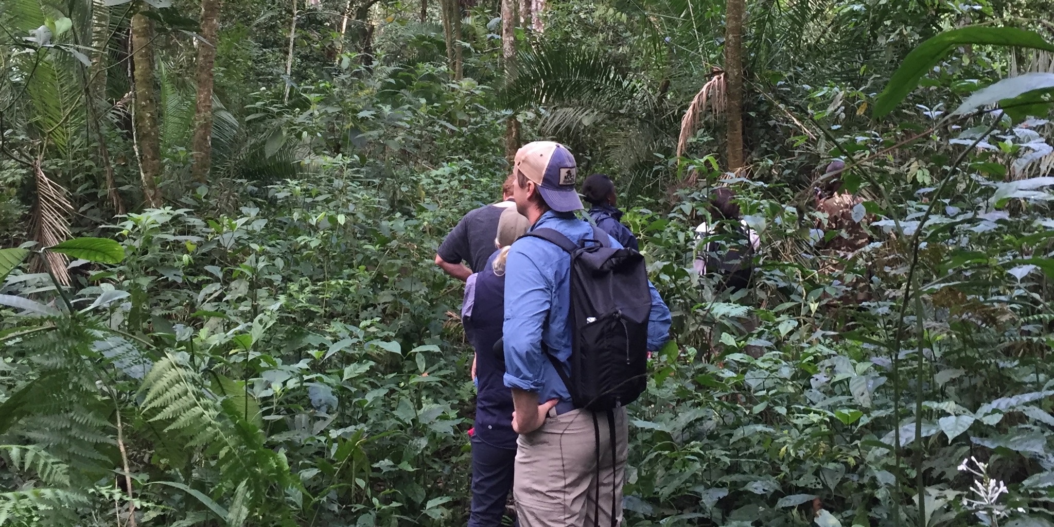 Group of People, Gorilla Trekking, Uganda 