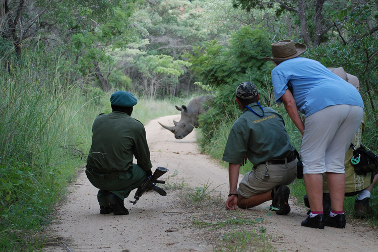 rhino matobo hills zimbabwe yellow zebra safaris