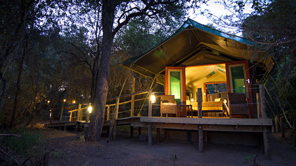 tent camp   room 11