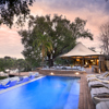 thorntree 071