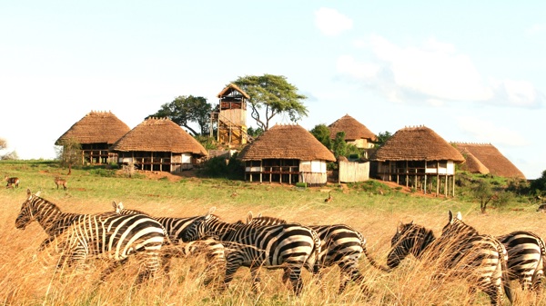 thatched huts, kidepo valley national park, uganda safaris