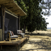 Elephant Deck, Little Ruckomechi, Mana Pools, Zimbabwe