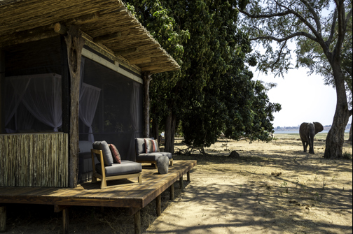 Elephant Deck, Little Ruckomechi, Mana Pools, Zimbabwe