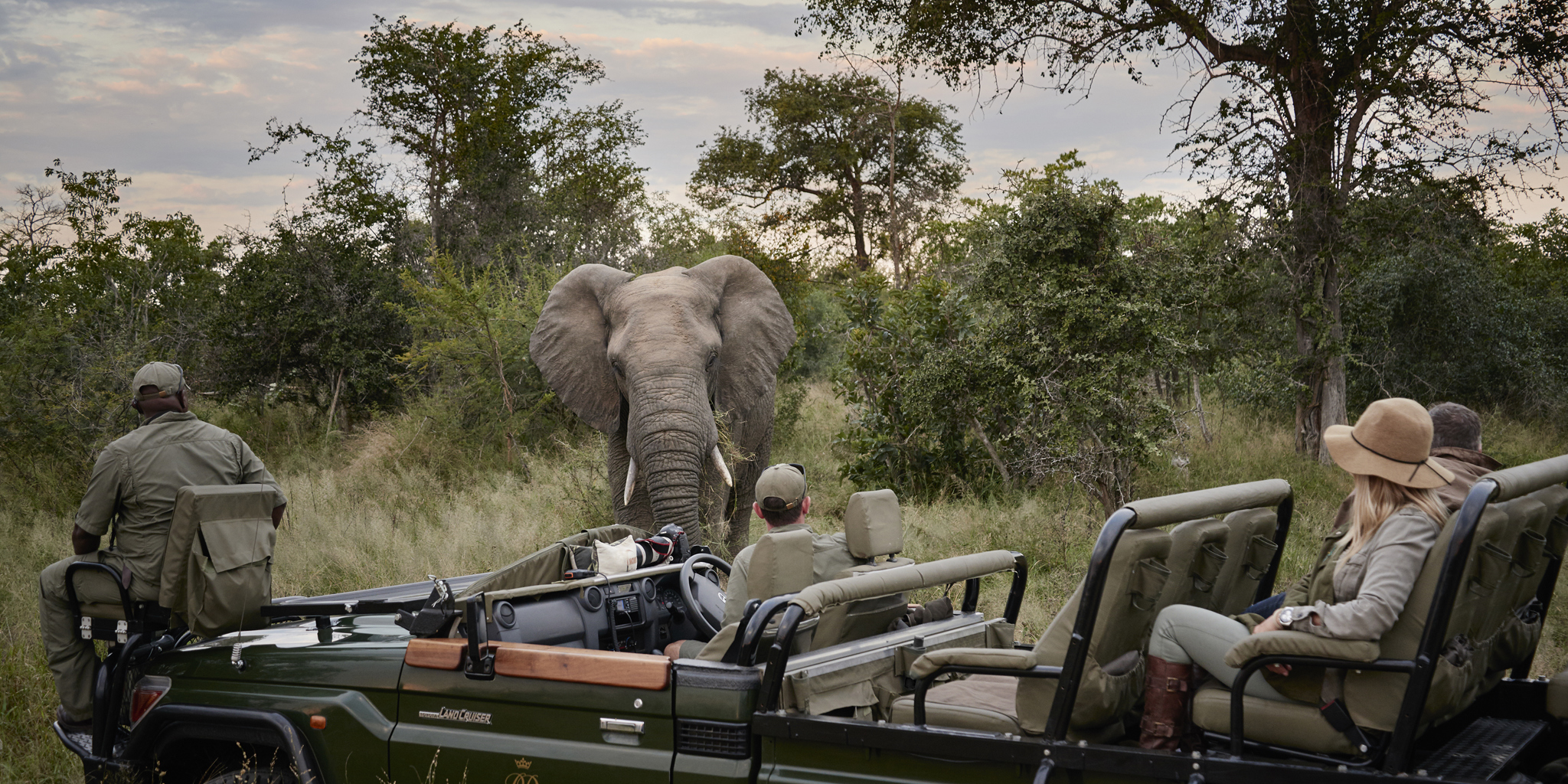 rm experience game drive elephant
