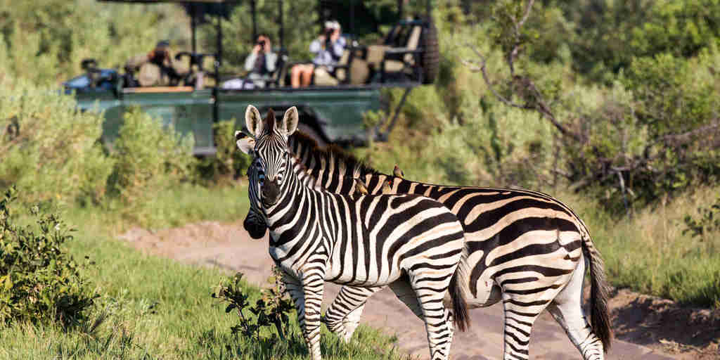 Safaris Seba Camp (52)