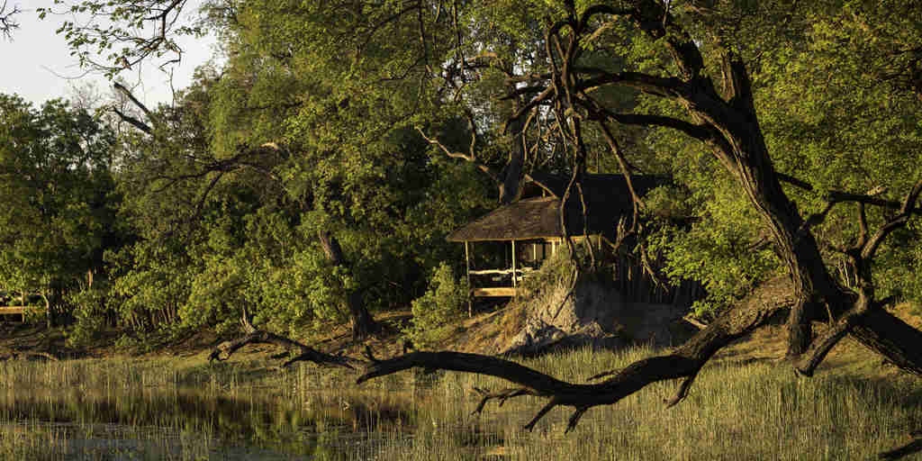 Wilderness Safaris Savuti (113)