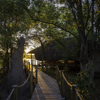 Wilderness Savuti Camp | Botswana Luxury Camps | Yellow Zebra Safaris