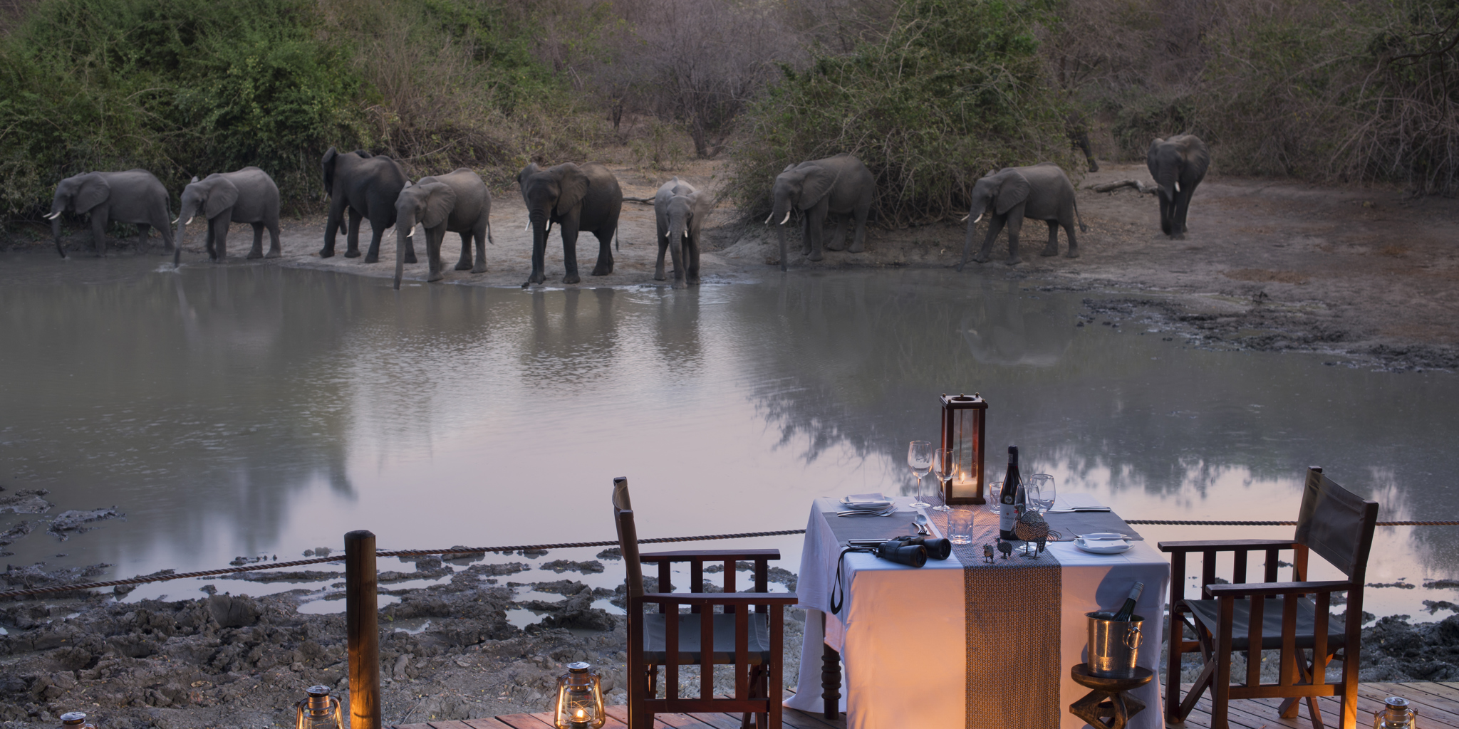 An evening dinner sitting on the lodge deck overlooking a waterhole as the sunsets. A herd of elephant joining the setting, and quenching their thirst. 