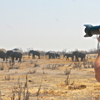 27 imvelo safari lodges camelthorn lodge elephant photography at mandiseka pan