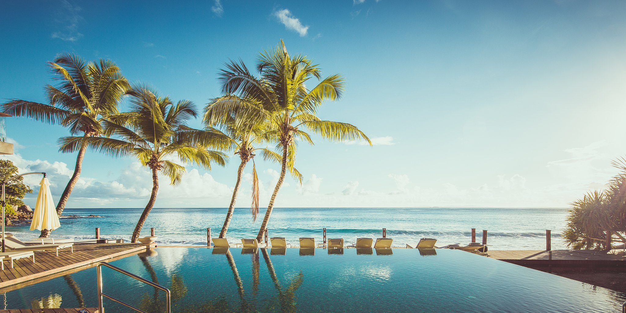 Pool Landscape