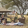 family safari