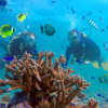 Top Places to go Snorkeling in the Seychelles Yellow Zebra Safaris