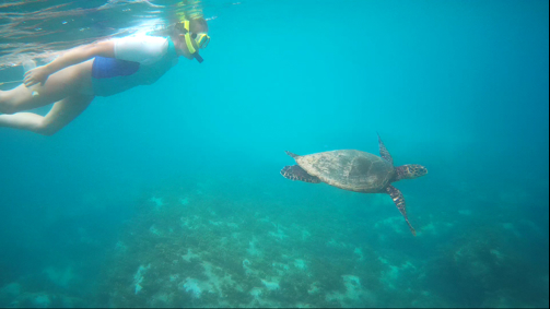 Snorkelling, Bird Island, Seychelles