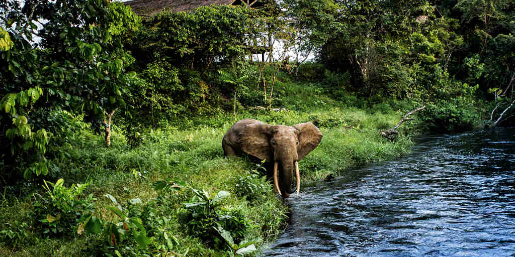 river, odzala kokoua national park, republic of the congo safaris