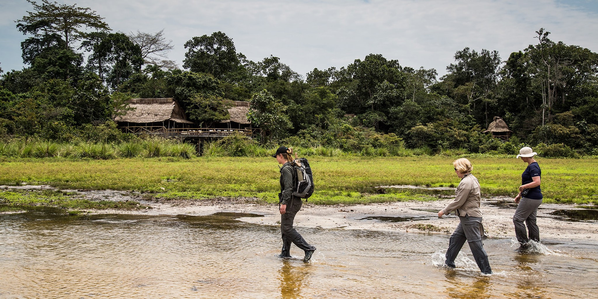 trekking in odzala kokoua national park, republic of the congo safaris