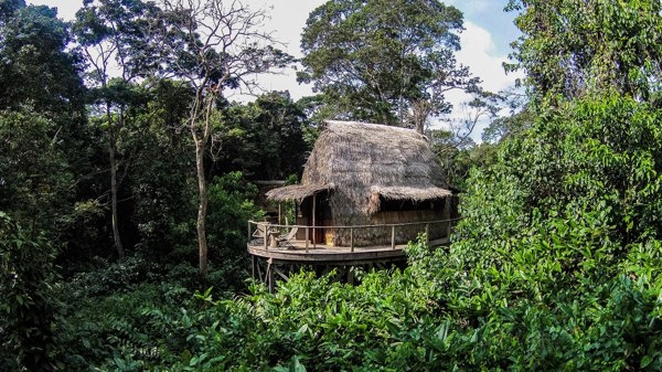 forest room