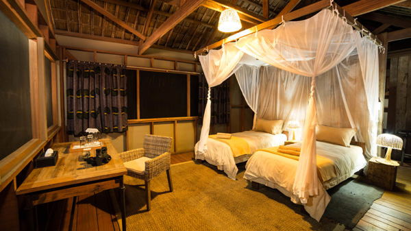 camp twin room