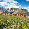 The Royal Portfolio la Residence Villas in the Vineyard