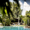 Safari pool
