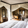 Safari room