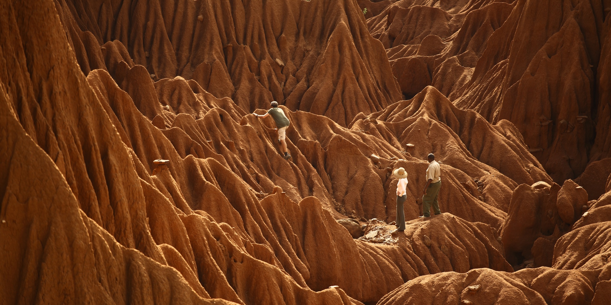Ol Jogi Private Lodges In Laikipia Kenya Yellow Zebra Safaris