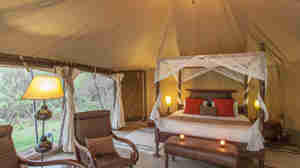 Camp bedroom