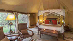 Camp bedroom