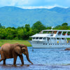 Safari cruising zambia