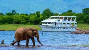 Safari cruising zambia