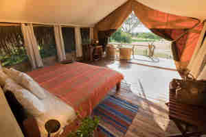 safari lodge room