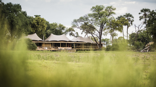 mombo camp botswana yellow zebra safaris