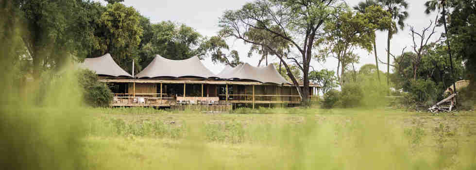 mombo camp botswana yellow zebra safaris