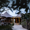 exterior mombo camp botswana yellow zebra safaris