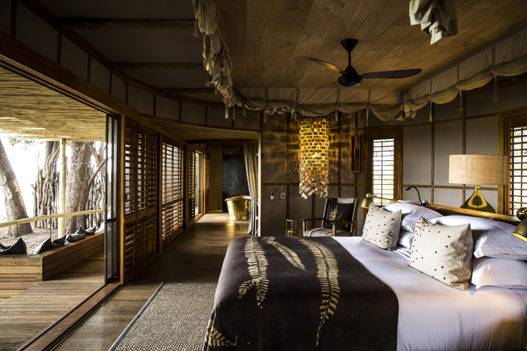 double room view mombo camp botswana yellow zebra safaris