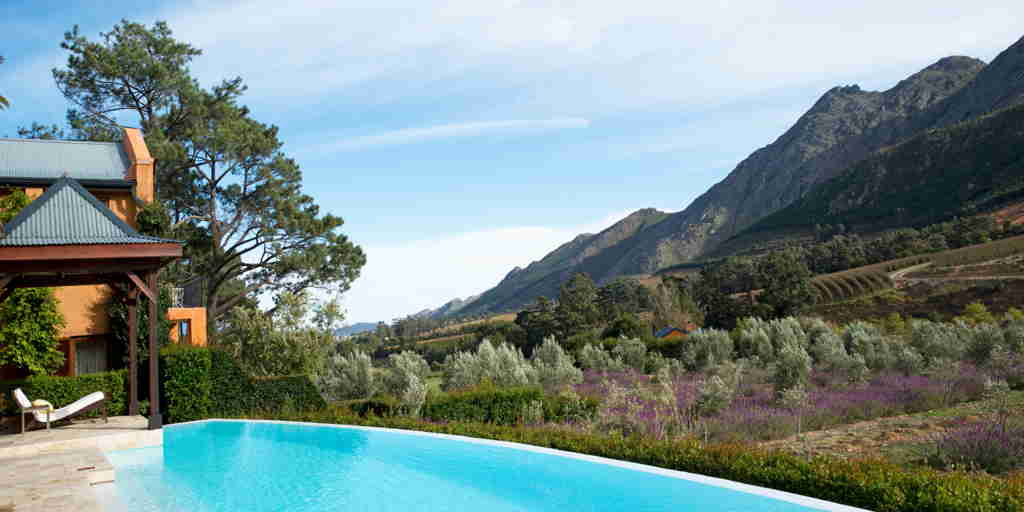 The Royal Portfolio la Residence Pool with Vineyard in Background