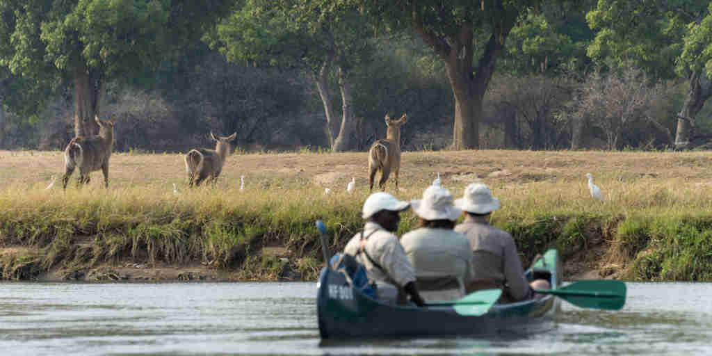 Canoeing in zimbabwe