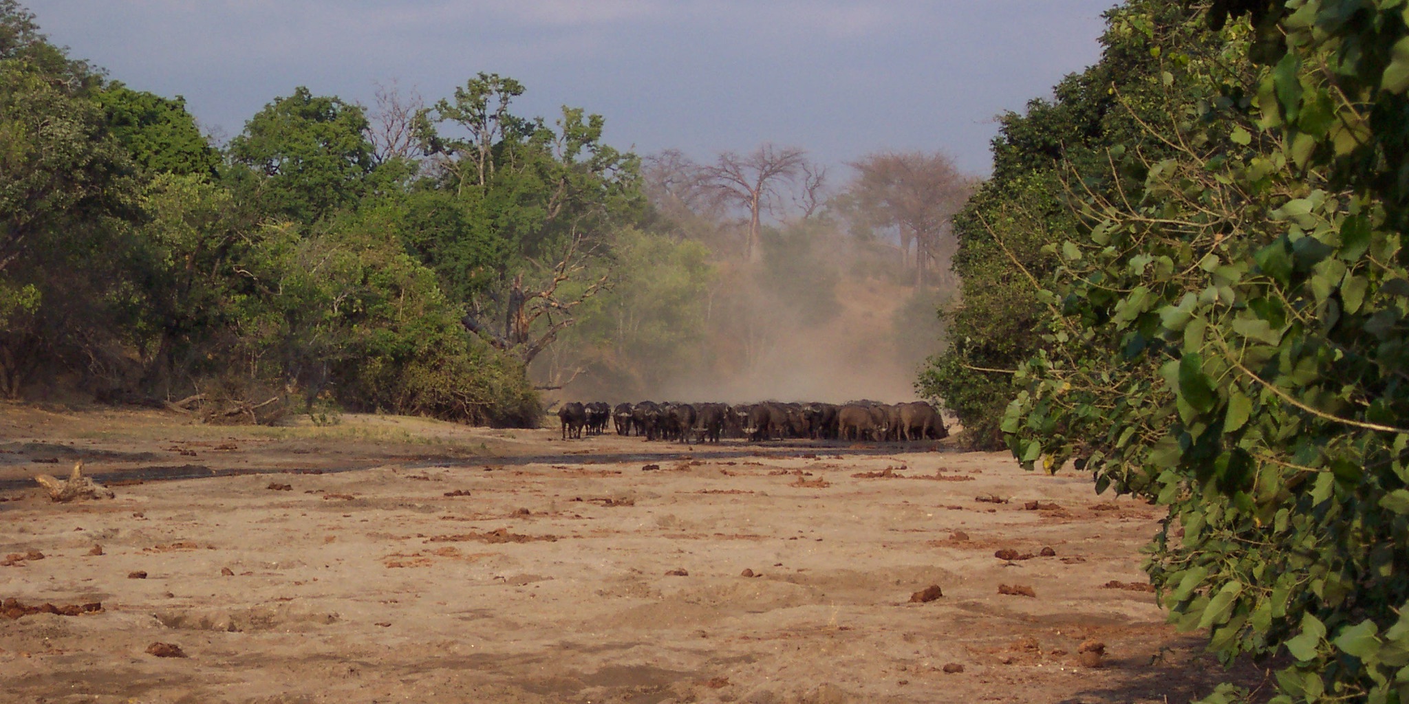 Camp Chitake Luxury Camps in Zimbabwe Yellow Zebra Safaris