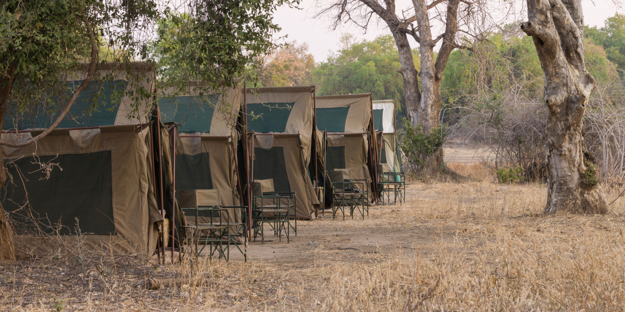Camp chitake tents