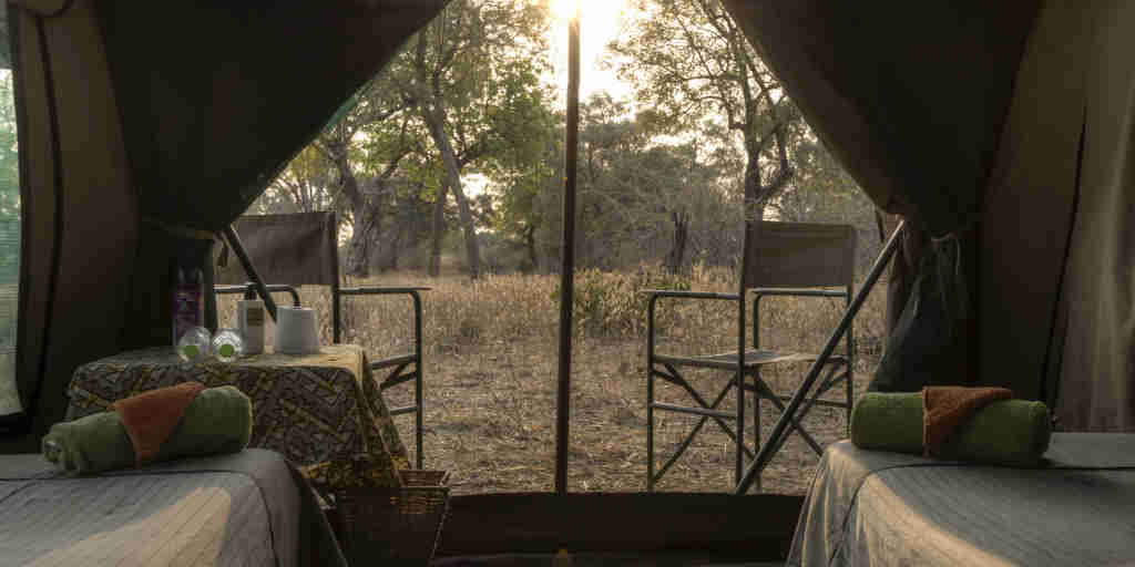 safari tent room