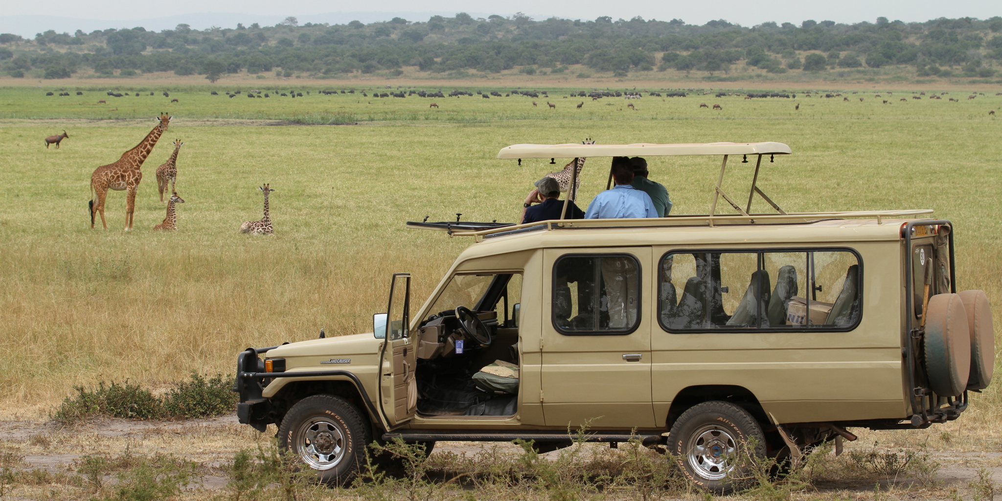 Game Drive Akagera