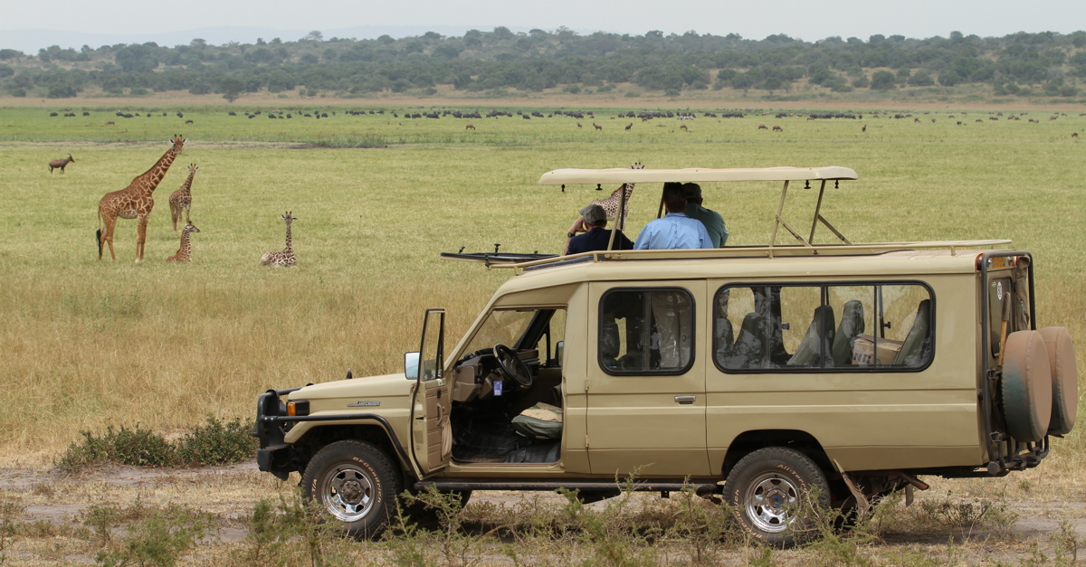 African Safari Road Trips Explained