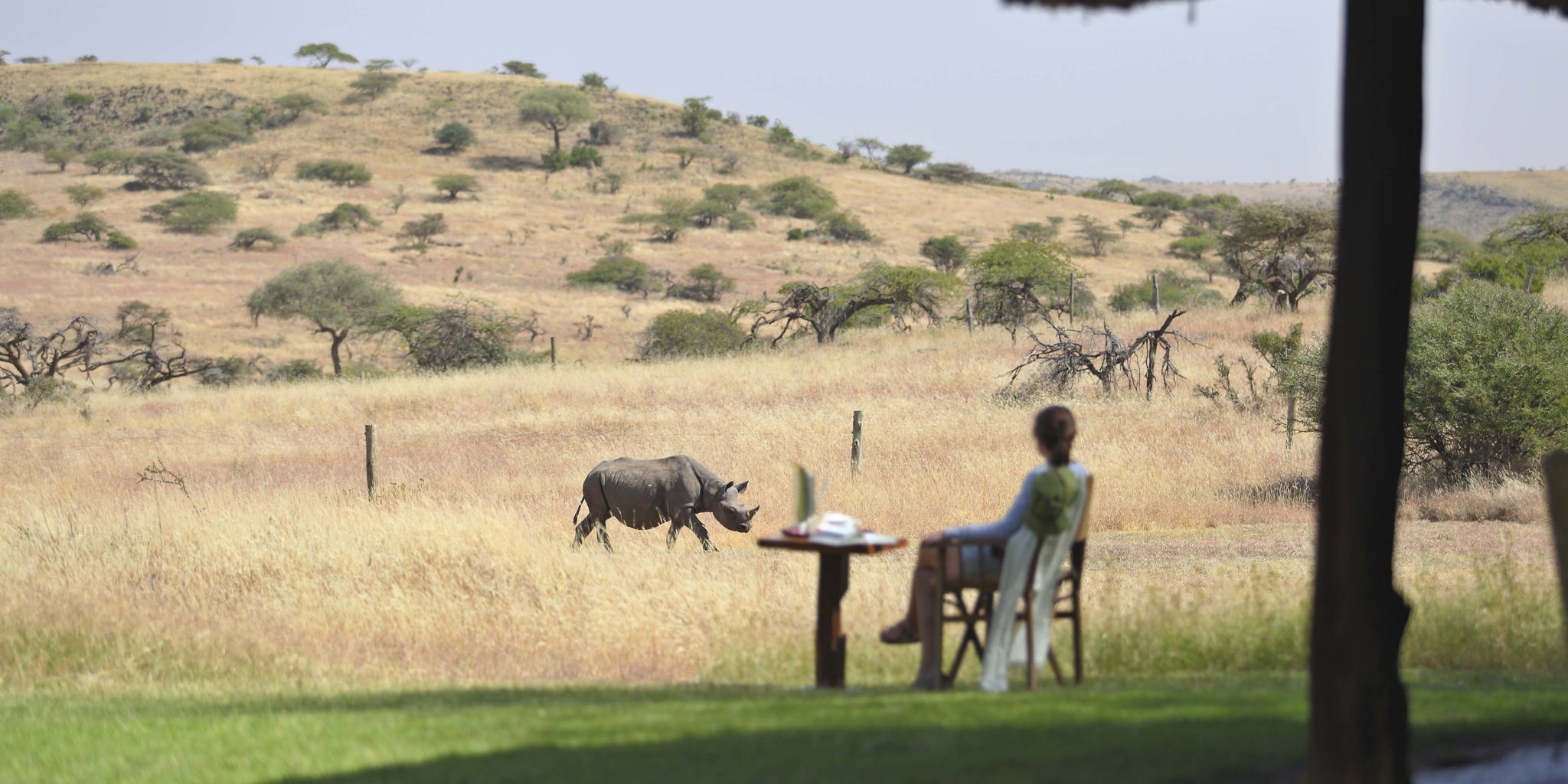 Breakfast with rhinos