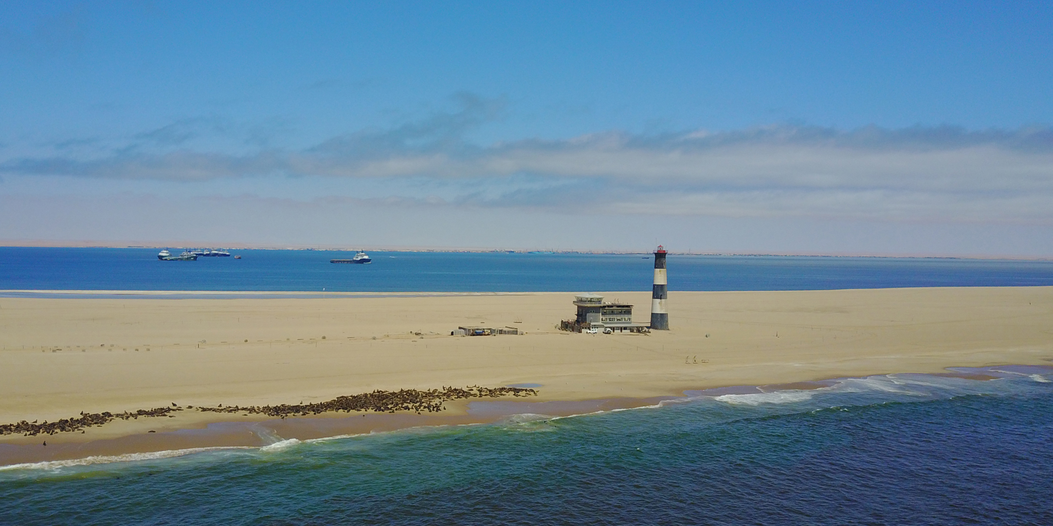 pelican point, swakopmund and walvis bay, namibia safaris