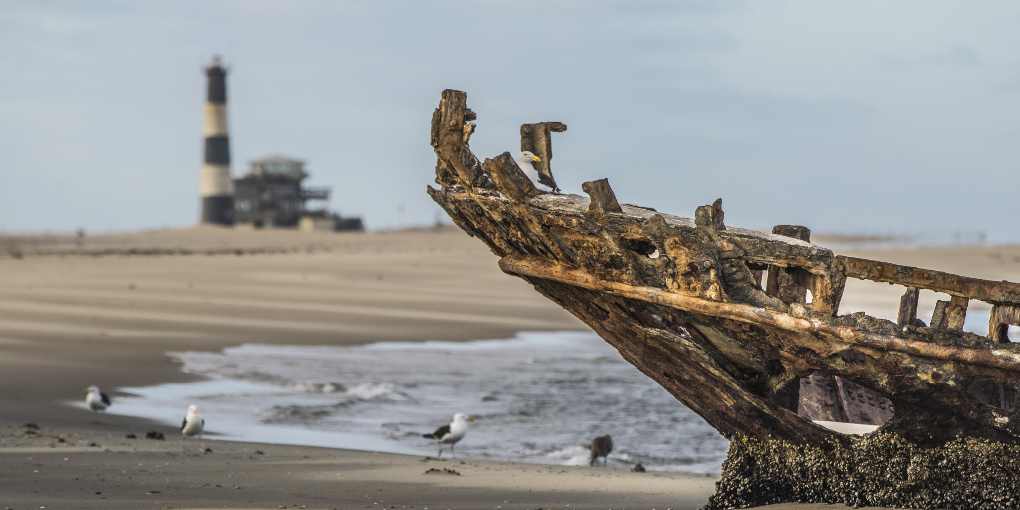 shipwreck, swakopmund and walvis bay, namibia safaris