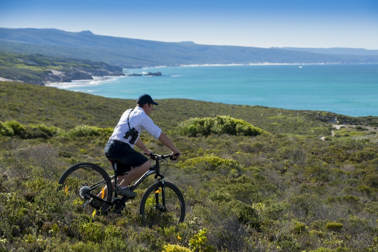bike safaris, de hoop nature reserve, south africa