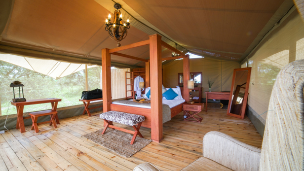 Safari tent luxury room